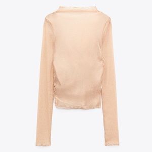 Zara glittery top